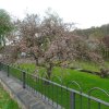 Mai 2015 Hunsrück